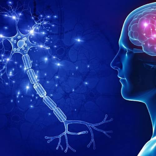 Neurology